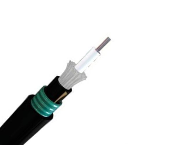 Central Loose Tube Out Armored  Cable