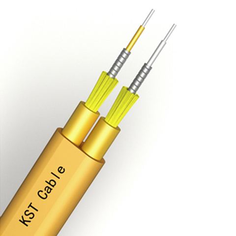 Flat Twin Duplex armored Indoor Cable（GJFJBV）